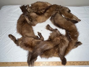 lot 161U image: Group of Vintage Mink Pelts Furs