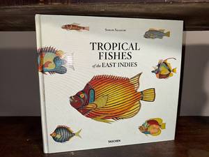 lot 121U image: Tropical Fishes of the East Indies by Samuel Fallours