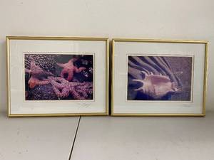 lot 6SP image: Maxfield Originals Sea Stars & Sea Shell Framed Photographs with Signatures