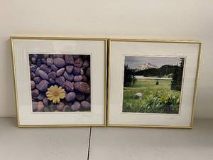 lot 7SP image: Maxfield Originals Framed Photos Daisy on Rocks & Mt. Bachelor Todd Lake