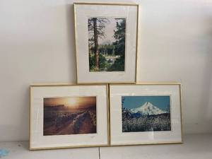 lot 10SP image: Set of 3 Framed Landscape Photos Signed by Artist with Gold Frames