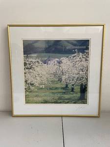 lot 21SP image: Framed Scenic Orchard Photograph with Building in Background