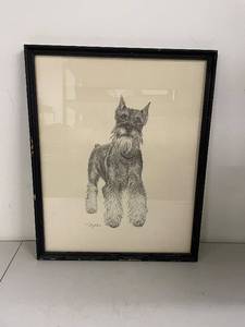 lot 23SP image: Framed Schnauzer Art Print Signed T. Loughton Limited Edition