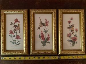 lot 144 image: Set of 3 Framed Hummingbird Prints with Gold Ornate Frames