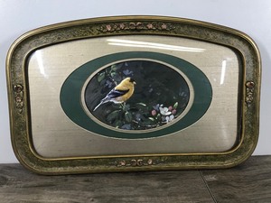 lot 419 image: Framed Vintage Bird Picture with Bubbled Glass