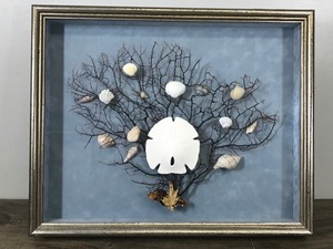 lot 142 image: Wall Hanging Shadow Box with Sea Shells and Sea Branches
