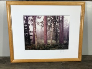 lot 121 image: Framed Signed Photograph of the Wilderness