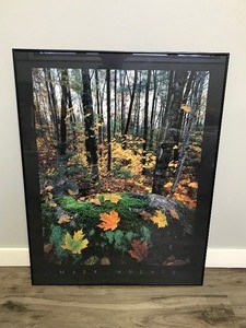 lot 118 image: Framed Picture - Mark Muench White Mountain Fall