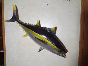 lot 32 image: Tuna fish Decor