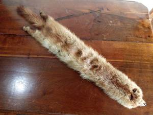 lot 39 image: Mink pelt