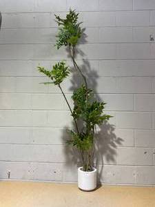 lot 223 image: Afan Artifical Sumac Tree 5.3ft
