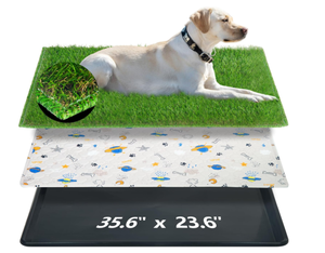 lot 217 image: Reusable Dog Loo System with Artificial Grass Turf&Pee Pads&Tray, for Puppy Potty Training is Portable&Easy to Clean,35x23in Large Dog Litter Box Toilet for IndoorOutdoor use