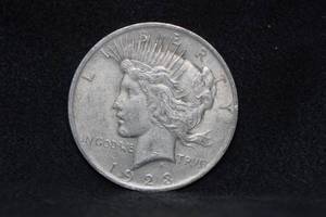 lot 96 image: 1923 Peace Silver Dollar Coin