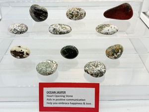 lot 259 image: Ocean Jasper Palmstone Lot of 11 324gm11.4oz.