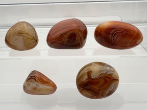 lot 112 image: Sardonyx 5-piece palmstone lot Total weight 289 gm. 10.2 oz.