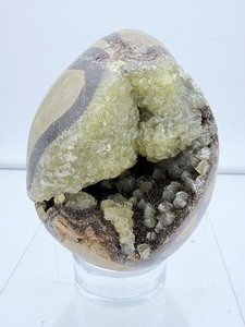 lot 17 image: Septarian large egg-shaped geode nodule 779 gm.1 lb. 12 oz.