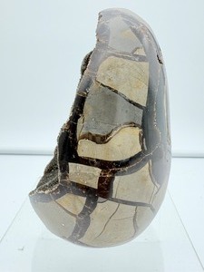 lot 61 image: Septarian Nodule Geode 1 kilo2 lb. 6 oz.