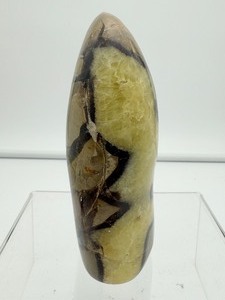 lot 47 image: Septarian large polished freeform 633 gm.1 lb. 6 oz.