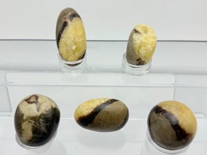 lot 221 image: Septarian Palmstone Lot of 5 261 gm.8.6 oz.