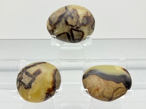 lot 260 image: Septarian Palmstones Lot of 3 261 gm9.2oz.