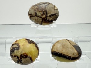 lot 260 image: Septarian Palmstones Lot of 3 261 gm9.2oz.