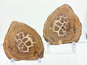 lot 115 image: Septarian Nodule Pair 1.33 kilo.2 lb.