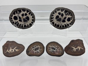 lot 215 image: Septarian Nodules Lot of 3 309 gm.11 oz.