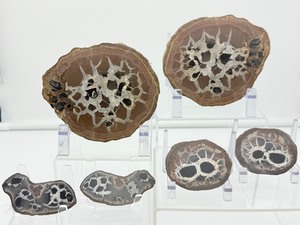 lot 76 image: Septarian Nodules 3 pair of small Septarian nodules 261 gm.9.2 oz.