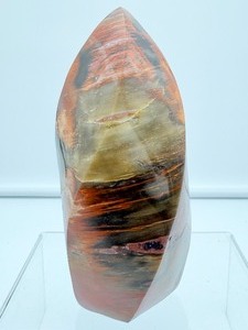 lot 20 image: Petrified wood Flame 782 gm.1 lb. 12 oz.