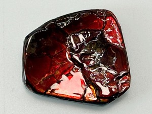 lot 90 image: Ammolite Gem Specimen from the KORITE Ammolite Mine, Alberta, Canada 10 gm, .4 oz.