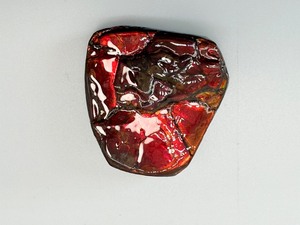 lot 90 image: Ammolite Gem Specimen from the KORITE Ammolite Mine, Alberta, Canada 10 gm, .4 oz.