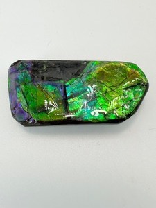 lot 72 image: Ammolite Gem Specimen from the KORITE Ammolite Mine, Alberta, Canada 25 gm..4 oz.