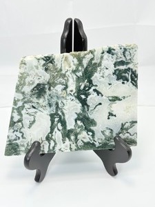 lot 234 image: Stunning Tree Agate Slab 544 gm.1 lb.3 oz.