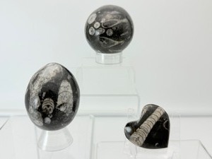 lot 21 image: Orthocerus Fossil Lot of 3-Sphere 305 gm.10.8 oz., Egg 185 gm.6.6 oz. and Heart 53 gm.1.9 oz. Total weight of lot550 gm1 lb. 9 oz.