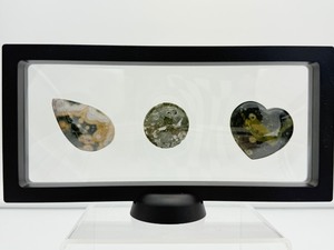 lot 124 image: Ocean Jasper Lot of 3 Polished Palmstones in 3D Floating Frame
