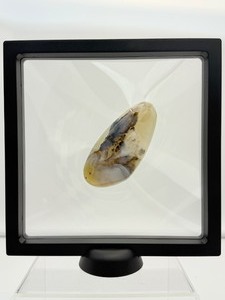 lot 216 image: Orca Agate palmstone in 3D Floating Frame 219 gm.7.7 oz.