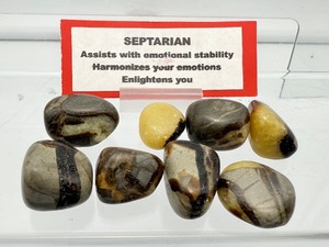 lot 139 image: Septarian 8-piece tumbles lot.