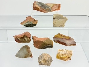 lot 263 image: Polychrome Jasper rough pieces lot of 9 185gm6.5oz.