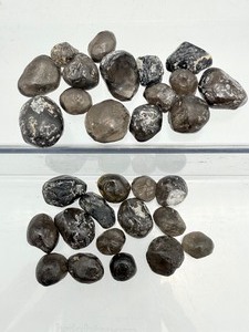 lot 231 image: Apache Tears small tumbles lot 85 gm.3.2 oz.