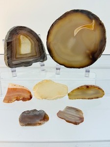 lot 248 image: Polished Agate Slices Lot of 7 234gm.8.3oz.