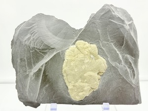 lot 26 image: Pyrite Sun in Matrix Plate 1 kilo2.2 lb.