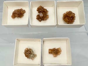 lot 249 image: Aragonite (Sputnik) small clusters lot of 5 Total Lot Weight 78 gm2.8oz.