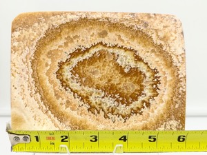 lot 194 image: Brown Aragonite Plate 332 gm.11.7 oz.