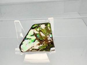 lot 106 image: Ammolite Gem Specimen from the KORITE Ammolite Mine, Alberta, Canada in box with certificate of authenticity, 3 color specimen (purple, blue & green) 14 gm..5 oz