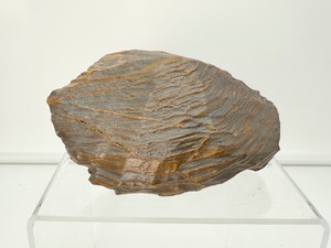 lot 184 image: Tiger Iron Chunk .9 kilo896 gm.2 lb.