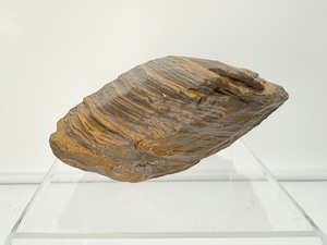 lot 184 image: Tiger Iron Chunk .9 kilo896 gm.2 lb.