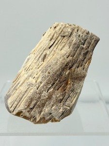 lot 295 image: Large Palm Wood Fossil Chunk 311gm11oz.