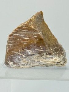 lot 295 image: Large Palm Wood Fossil Chunk 311gm11oz.