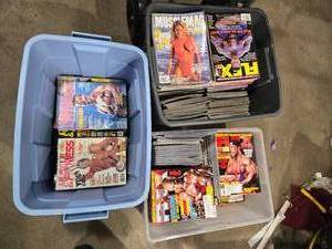 lot 178 image: Fitness Magazines Including Muscle & Fitness, Flex, and MuscleMag from the 1980s, 90s and 2000s Feature the Whos Who of Muscle building Including Arnold Arnold Schwarzenegger, Lou Ferrigno and Many Many More - Lot Includes Totes, Roughly 200 Issues