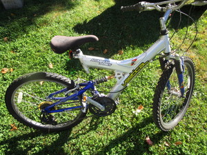 lot 7 image: Vertical Bicycle